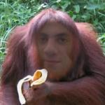 Padrino degli oranghi