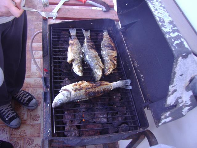 Pesci grigliati